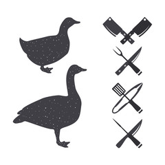 Black goose and a duck.