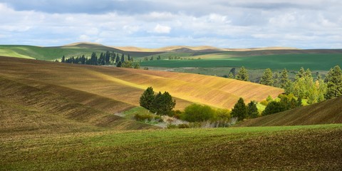 The rolling hills farmland. Palouse Hills in Washington, United State of America.