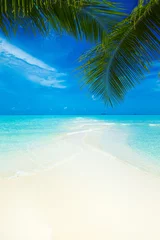 Garden poster Tropical beach beach in Maldives