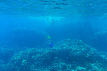 Tranquil underwater scene with copy space