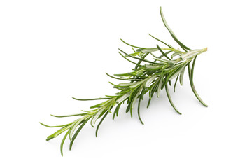 Fototapeta premium Rosemary twig on the isolated white background.