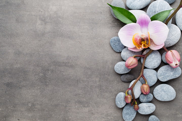 Fototapeta na wymiar Spa orchid theme objects on grey background.