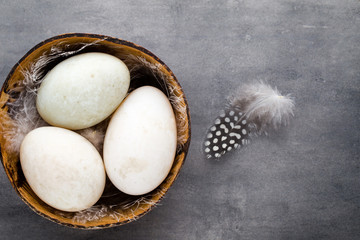  Duck eggs on a cage gray background.