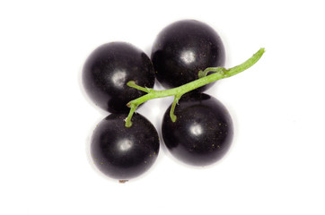 Black currant on the white background