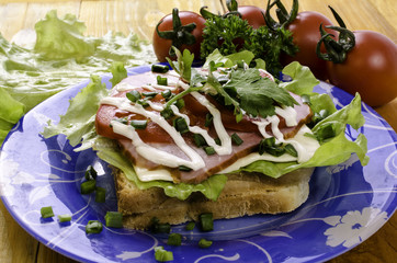 Sandwich with meat and vegetables.