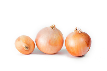 Onion on a white background