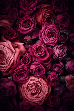 Fototapeta Róże w tle