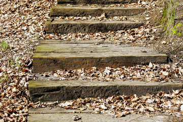 Old wooden steps