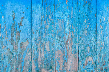 texture of old wooden surface with peeling blue paint