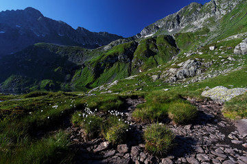 Fototapeta na wymiar Glacier Valley in the Transylvanian Alps, Romania