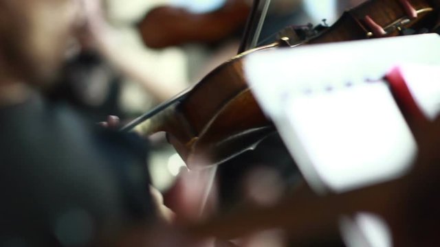 Violin at a concert