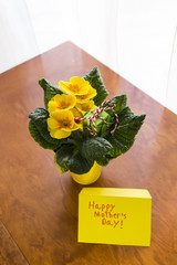 Happy Mother's Day Gift Card