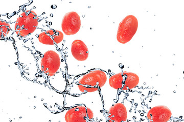 heathland tomatoes and Splashing water
