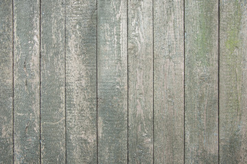 Старый деревянный забор (Old wooden fence)
