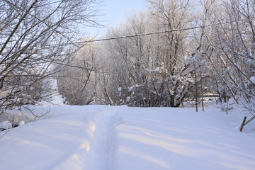 Road in snow in cold winter day