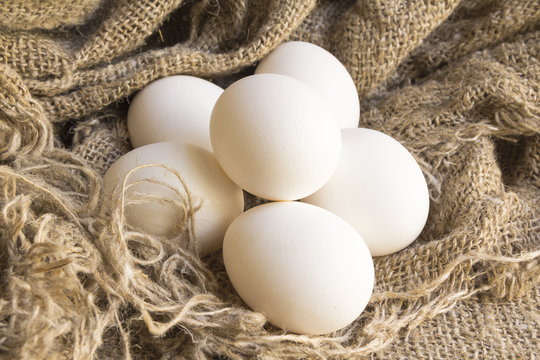 close-up white eggs on a Brown canvas