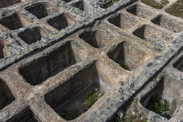 Factor&iacute;a de salaz&oacute;n