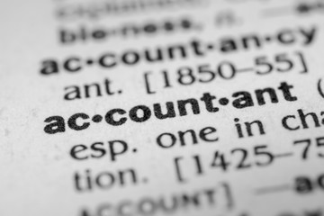 Obraz premium Accountant