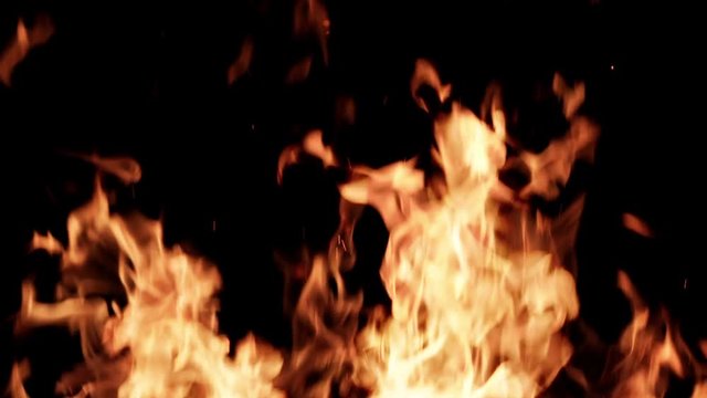 Multiple flames fill the screen in a conflagration.  Multiple slow-motion fire clips filmed against black and composited together.  Non-looping 14 seconds recorded in 1080/24P at 180fps.