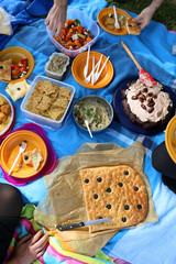 Top view of various picnic food: vegetable and feta salad, baba ghanoush, healthy crackers, rice fritters and olive bread.