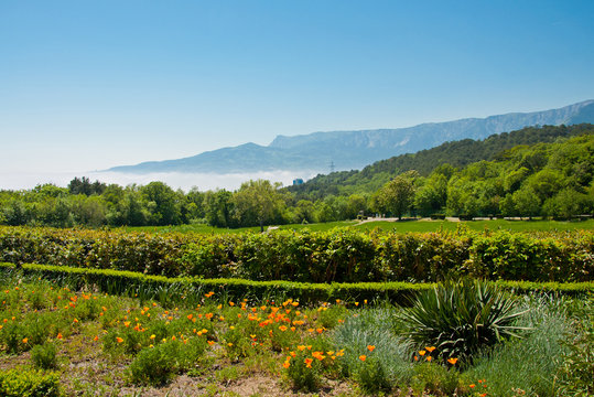 The beautiful Massanra Park in Crimea