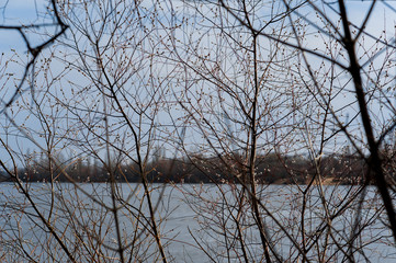 Fototapeta na wymiar Nature background with spring landscape and melting ice at the lake.