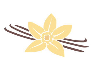 Vanilla flower isolated on white background.