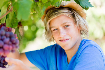 Boy in vineyard
