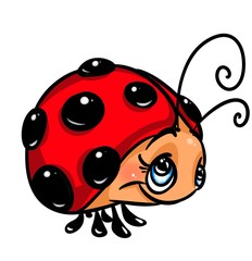 Naklejka premium Ladybug insect cartoon illustration isolated image animal character 