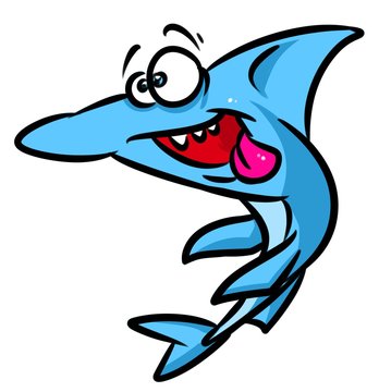 Shark crazy  fish cartoon illustration isolated image animal character