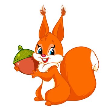 Squirrel nut cartoon illustration isolated image animal character 