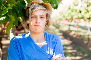 Boy in vineyard