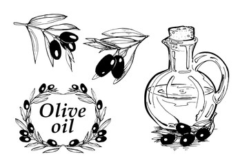 Vector hand drawn illustration with olives and bottle of olive oil. Sketch, doodle