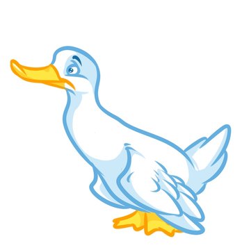 Bird White Duck cartoon illustration isolated image animal character 