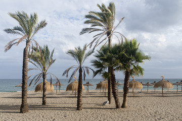 Obraz na płótnie Canvas Hermosas playas de la ciudad de Marbella en la costa del sol de España