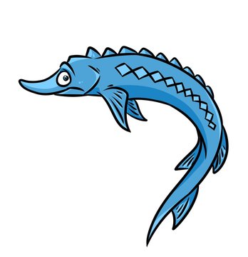 Blue sturgeon fish cartoon illustration isolated image animal character 