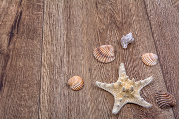 Starfish and shells on a wooden background