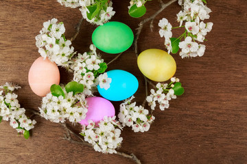 Obraz na płótnie Canvas Easter eggs on a flowering tree branch