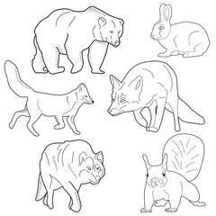 Set of Animals