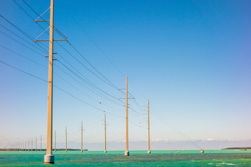 tranquil nature in florida keys