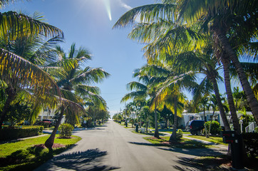 way to the beach with palm trees in key west florida
