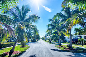 way to the beach with palm trees in key west florida - obrazy, fototapety, plakaty