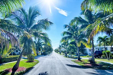 Fotobehang weg naar het strand met palmbomen in Key West Florida © digidreamgrafix