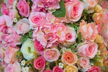Flowers roses background