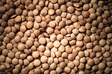 Orange lentil seeds as texture for background. Toned