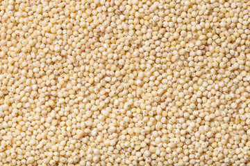 Millet seeds as texture for background