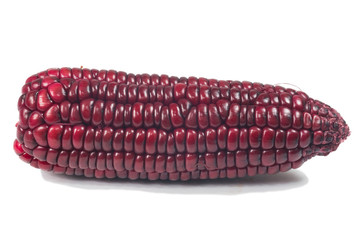 purple corn cob on white background
