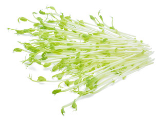 Obraz premium Pea Sprouts on White Background