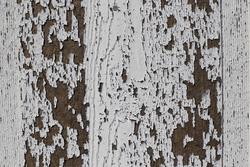 Peeling Paint  Texture