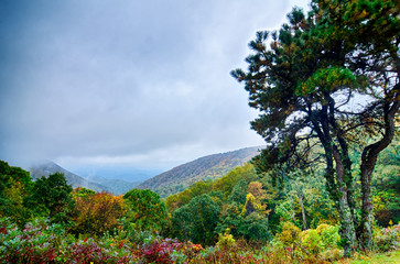 Fototapeta premium early morning on blue ridge parkway